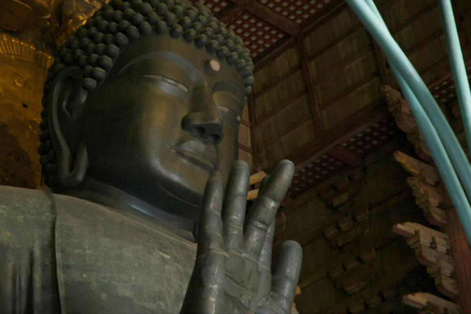 Qué ver en Nara en un día, Budas
