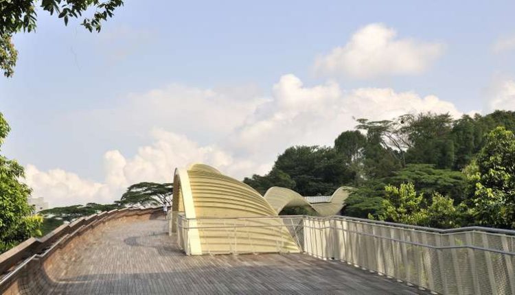 Puente-ondulado-Henderson-Singapur-5 (1)