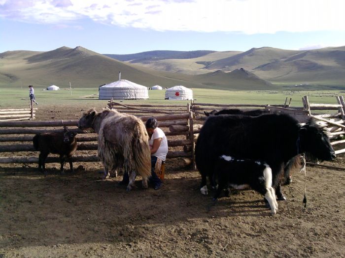 Guía Básica de Mongolia