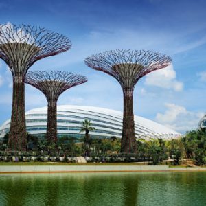 10 cosas que hacer en singapur