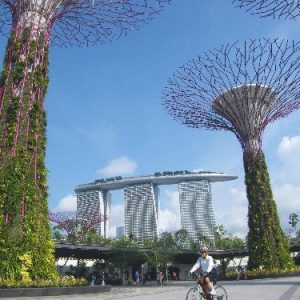 10 cosas que hacer en singapur