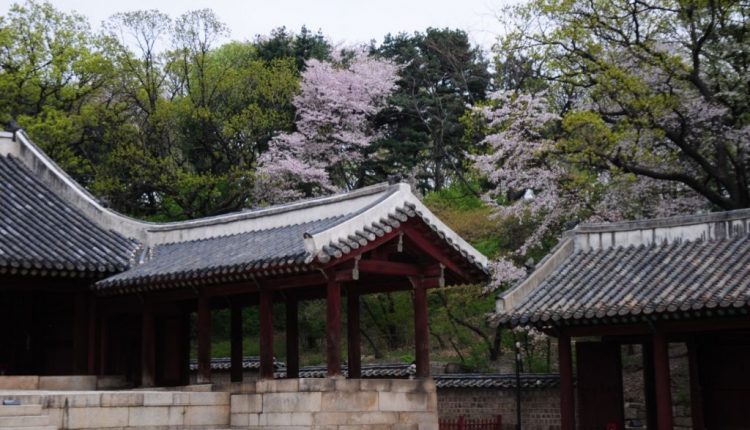 Jongmyo-Shrine-Templo-Palacio-6