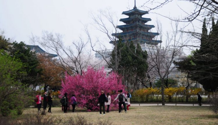 Palacio-Gyeongbokgung-Seul-8