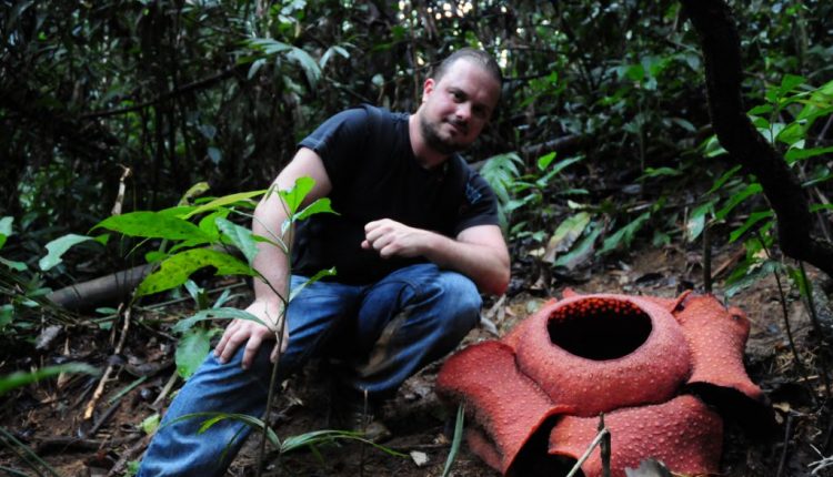 Raflesia Flower, la flor más grande del mundo