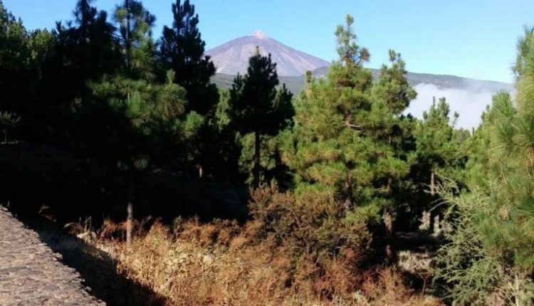 vistas del teide