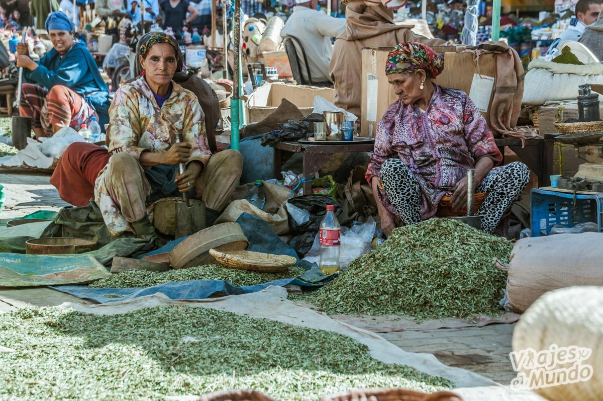 qué ver en marrakech
