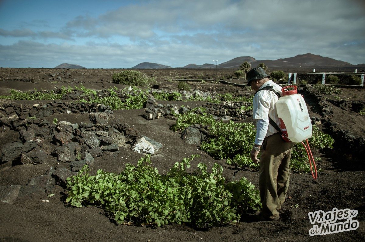 Qué ver en Lanzarote