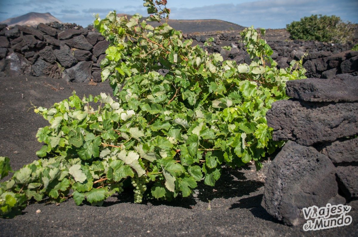 Qué ver en Lanzarote