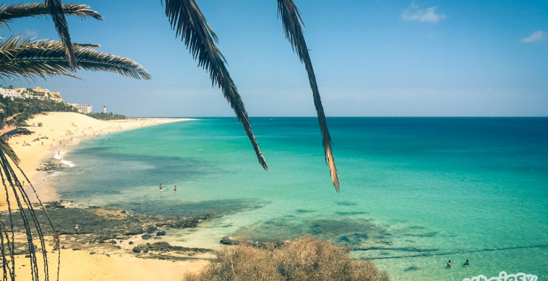 playas de fuerteventura