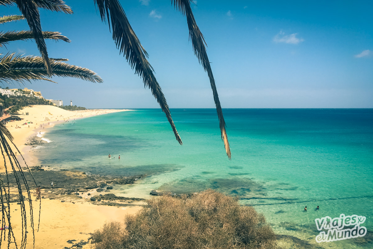 playas de fuerteventura