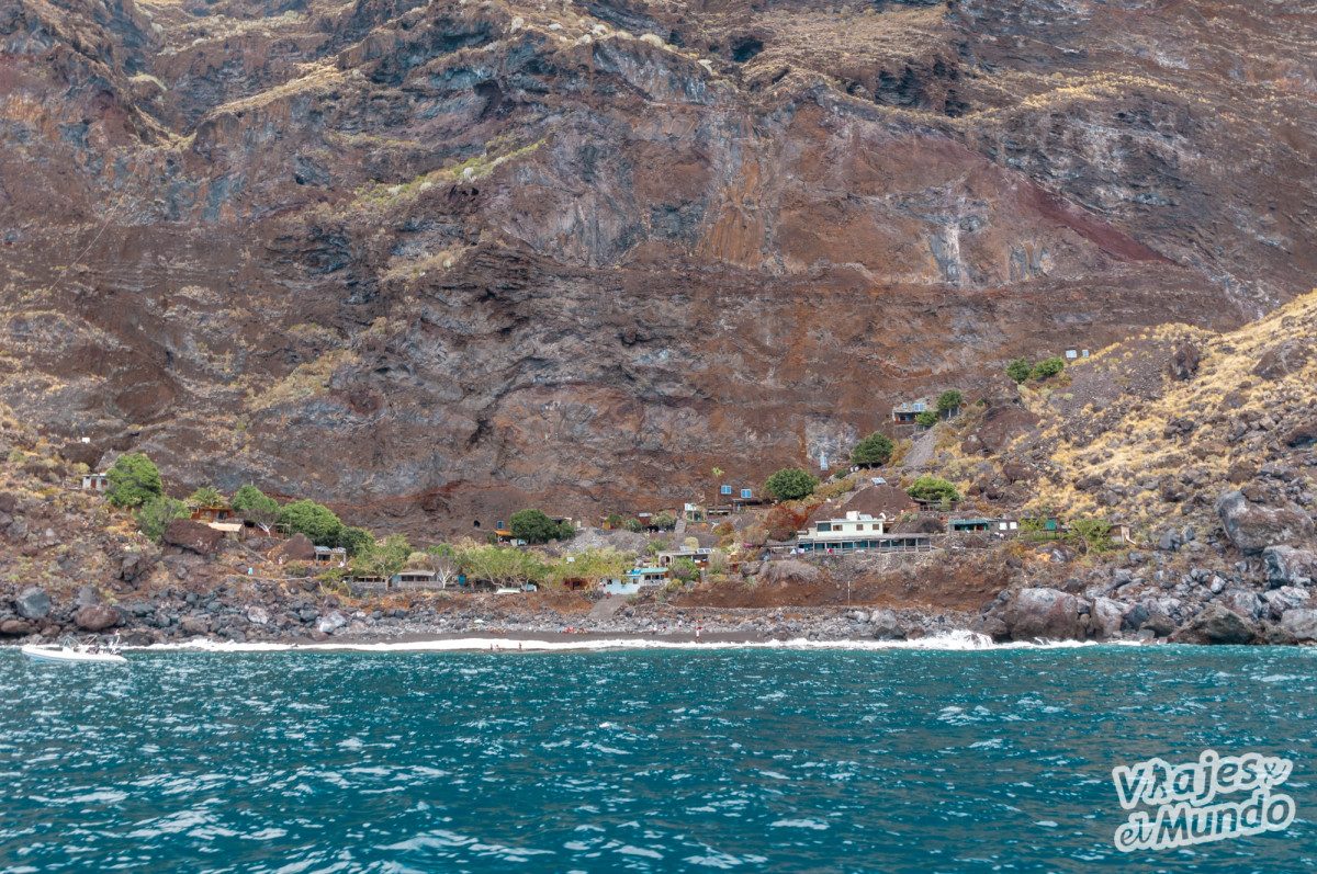 Delfines en La Palma