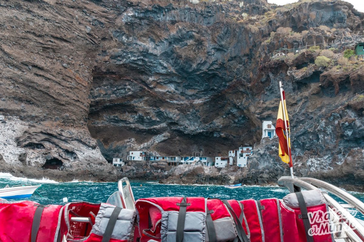 Delfines en La Palma