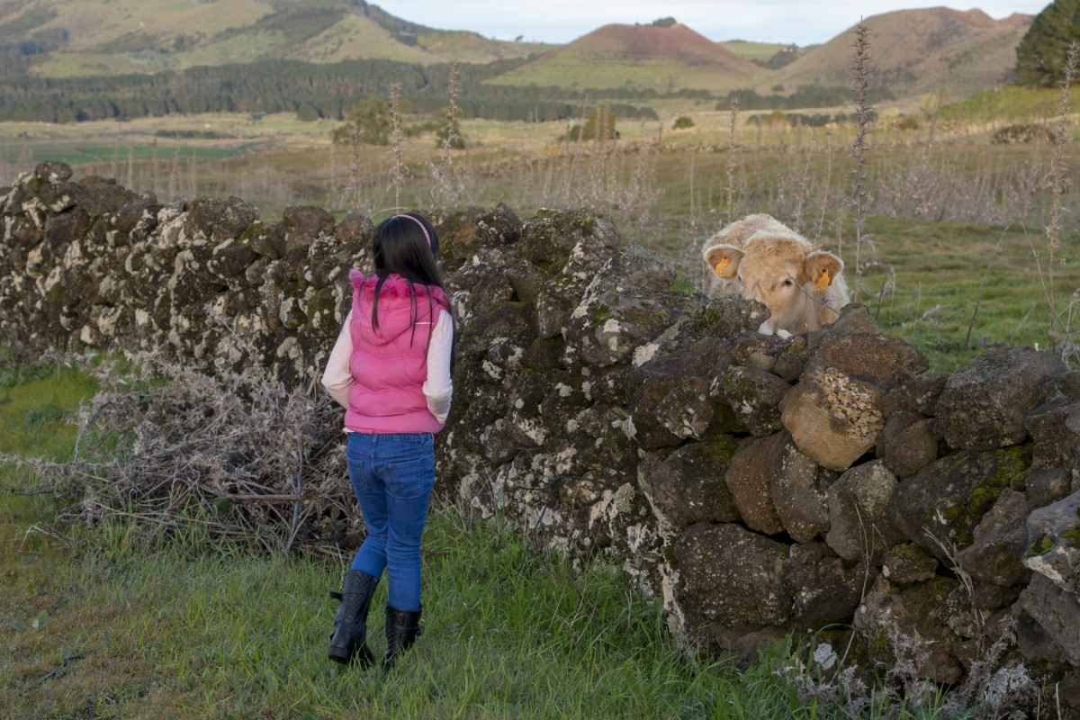 Miradores del Hierro